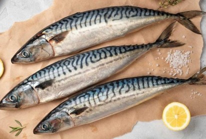 Яденето на мазна риба предпазва от тромбоза