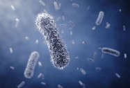СЗО със списък на супер бактериите, за които спешно трябват нови антибиотици