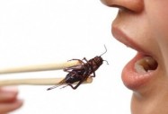 ЕС официално разреши яденето на насекоми, но европеецът се храни с тях от десетилетие 