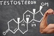 Тестостеронът пречи на мъжа да взема решения