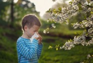 Алергиите през лятото - сезонният ужас за родители и деца