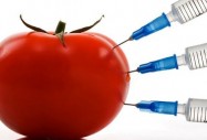 ГМО храните реабилитирани?