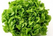Токсините в зеленчуците опасни за мозъка!