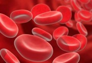 Японски учени създадоха универсална изкуствена кръв