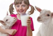 Доказаха: децата трябва да пият козе мляко