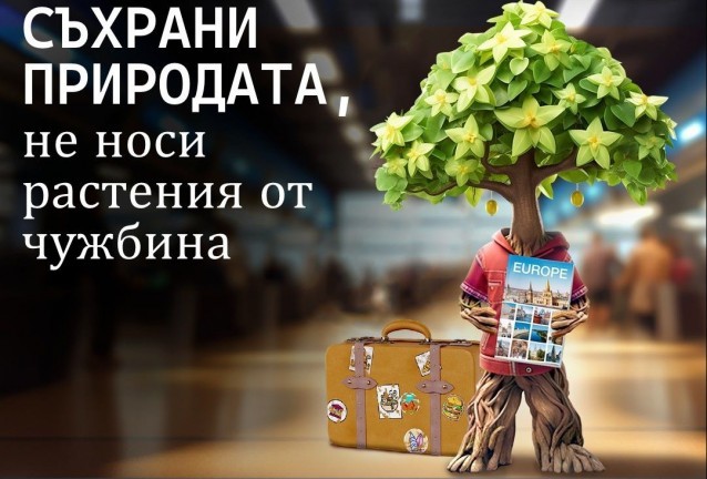 растения здраве