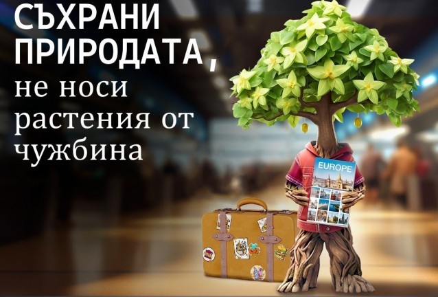 кампания