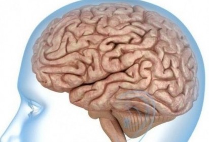 Как да поддържаме здрав мозък и оптимизираме функцията му
