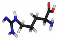 Аргинин
