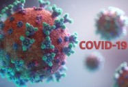Смъртните случаи от коронавирус в света с 43% по-малко
