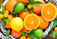 Цитрусовите плодове могат да бъдат превенция на рака
