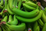 Защо зелените банани могат да предпазят от рак